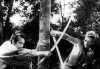 rashomon kurosawa.jpg